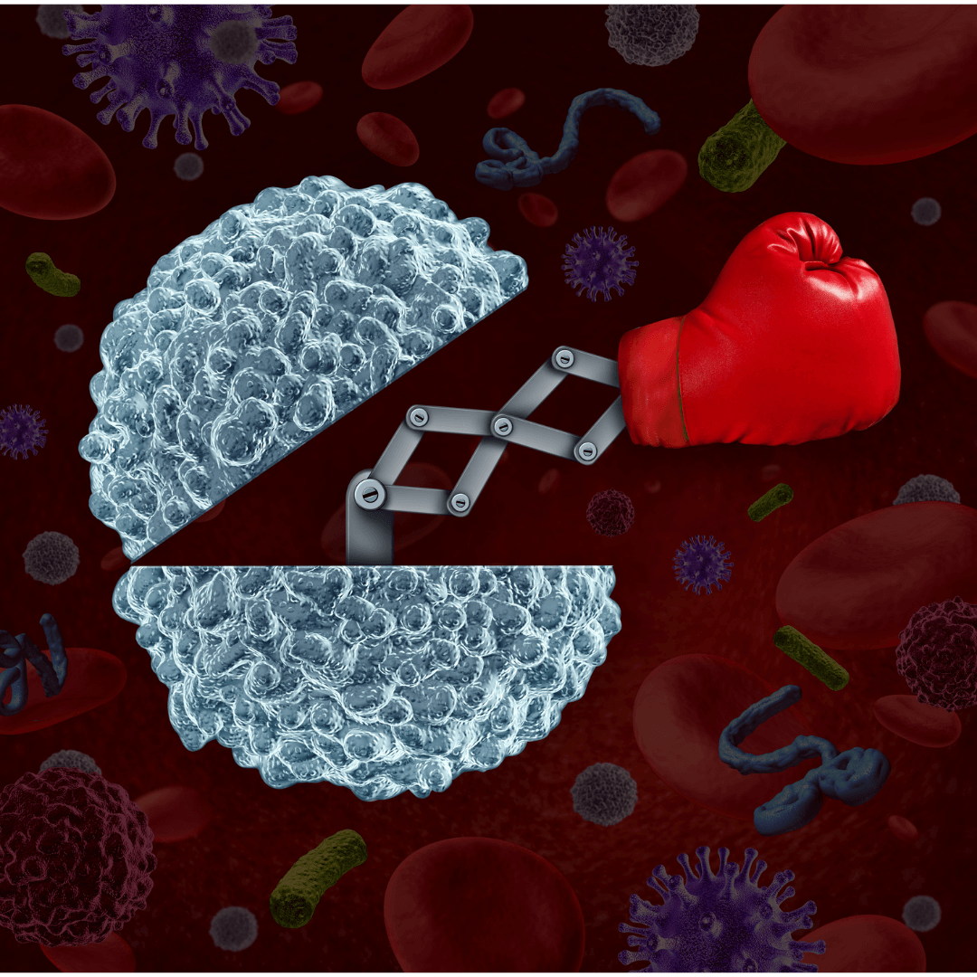 4 Tips To Boost Your Immune System